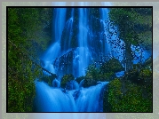 Stany Zjednoczone, Stan Waszyngton, Wodospad Fall Creek Falls, Las,  Gifford Pinchot National Forest