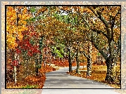 Jesień, Park, Alejka, Drzewa