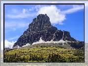 Stany Zjednoczone, Stan Montana, Park Narodowy Glacier, Góry, Góra Clements Mountain, Drzewa