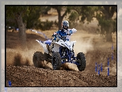 Quad, Yamaha YFZ 450R, 2016