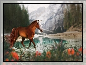 Koń, Rzeka, Góry, Grafika 2D