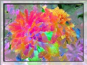 Kolorowe, Kwiaty, Fractalius