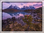 Chile, Patagonia, Park Narodowy Torres del Paine, Jezioro Pehoé, Góry Cordillera del Paine, Masyw Torres del Paine, Kamienie, Brzeg, Roślinność, Wschód słońca