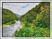Lasy, Rzeka, Wzgórza