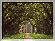 Stany Zjednoczone, Stan Luizjana, Gmina Vacherie, Plantacja Oak Alley Plantation, Willa Oak Alley Plantation, Dom, Droga, Drzewa, Dęby