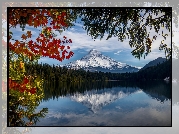 Stany Zjednoczone, Stan Oregon, Góra, Stratowulkan Mount Hood, Jezioro Lost Lake, Drzewa