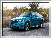 Niebieskie, BMW X6 F86, 2015