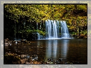 Walia, Park Narodowy Brecon Beacons, Wodospad Sgwd Ddwli Uchaf, Las, Drzewa, Rzeka