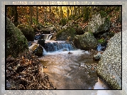 Niemcy, Saksonia-Anhalt, Powiat Harz, Rzeka Ilse, Jesień, Kamienie, Las, Drzewa