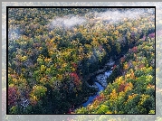 Stany Zjednoczone, Stan Michigan, Hrabstwo Ontonagon, Rzeka Carp River, Jesień, Las, Drzewa, Rzeka, Mgła