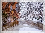 Stany Zjednoczone, Arizona, Sedona, Rzeka Oak Creek, Szlak West Fork Oak Creek Trail, Zima, Skały, Ośnieżone, Drzewa