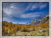 Włochy, Region Piemont, Góry Alpy, Dolina Val Buscagna, Ośrodek narciarski Alpe Devero, Jesień, Drzewa