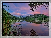 Jezioro, Wzgórza, Trawy, Rośliny