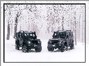 Dwa, Czarne, Land Rover Defender, 2018, Las, Drzewa, Zima