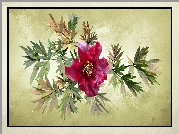 Kwiat, Piwonia, Liście, Grafika 2D