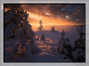 Norwegia, Gmina Ringerike, Zachód słońca, Zima, Zaśnieżone, Jezioro, Drzewa