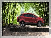 Ford EcoSport, Drzewa, Las