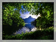 Szwajcaria, Jezioro Bodeńskie, Góry Alpy, Poranek, Drzewa