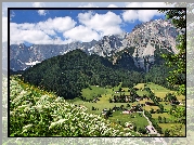 Austria, Gmina Ramsau am Dachstein, Góry Alpy Salzburskie, Domy, Dolina, Roślinność