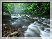 Rzeka Little River, Park Narodowy Great Smoky Mountains, Stan Tennessee, Stany Zjednoczone, Kamienie, Drzewa, Las