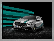 Mercedes-AMG A 45 Petronas, W176, 2015, World Champion Edition