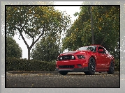 Ford Mustang, 2013, Czerwony