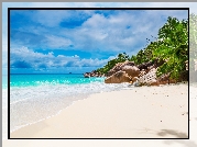 Plaża Anse St Jose, Wyspa Curieuse, Seszele, Morze, Kamienie, Palmy