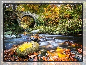 Irlandia Północna, Park Tollymore Forest, Jesień, Las, Rzeka Shimna, Kamienny, Most, Kamienie, Liście