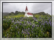 Kościół, Łubin, Góry, Miejscowość Vik i Myrdal, Gmina Myrdalshreppur, Islandia