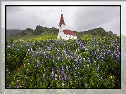 Kościół, Łubin, Góry, Miejscowość Vik i Myrdal, Gmina Myrdalshreppur, Islandia