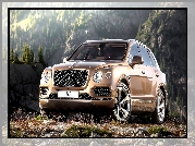 Bentley Bentayga, Przodem