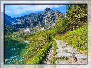 Polska, Góry Tatry, Mięguszowickie Szczyty, Jezioro Morskie Oko, Drzewa, Ścieżka