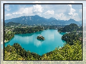 Słowenia, Wyspa Blejski Otok, Jezioro Bled, Góry Alpy Julijskie,  Drzewa, Roślinność