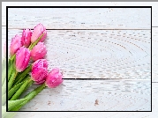 Tulipany, Różowe, Deski