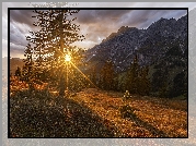 Promienie słońca, Drzewa, Góry Hochkonig, Salzburg, Austria