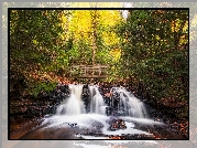 Las, Wodospad Chapel Falls, Jesień, Mostek, Park Narodowy Pictured Rocks National Lakeshore, Miejscowość Munising, Stan Michigan, Stany Zjednoczone