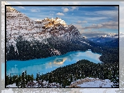 Kanada, Park Narodowy Banff, Góry Canadian Rockies, Jezioro Peyto Lake, Lasy, Zima