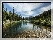 Jezioro Mount Lorette Ponds, Las, Góry Canadian Rockies, Kananaskis Country, Prowincja Alberta, Kanada