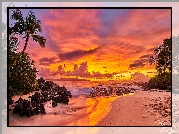 Hawaje, Wyspa Maui, Ocean, Palmy, Zachód słońca, Chmury