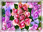 Kwiaty, Bukiet, Róże, Grafika