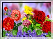 Kwiaty, Fiołki, Róże, Astry, Grafika