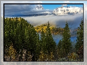 Jesień, Las, Góry, Drzewa, Świerki, Mgła, Krajobraz, Park Narodowy Grand Teton, Stan Wyoming, Stany Zjednoczone