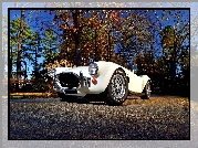 Zabytkowy, AC Cobra 427, Shelby, 1967