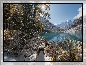Zima, Drzewa, Śnieg, Jezioro Szawlińskie, Góry Ałtaj, Republika Ałtaju, Rosja