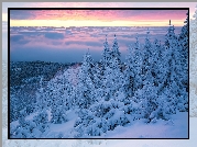 Zima, Śnieg, Wschód słońca, Drzewa, Świerki, Góry, Karkonosze, Polska