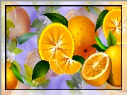 Pomarańcze, 2D