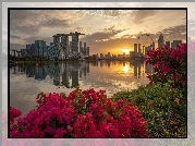 Zatoka Marina Bay, Hotel Marina Bay Sands, Wieżowce, Singapur, Most, Rzeka, Kwiaty, Zachód słońca