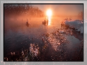 Zima, Zachód słońca, Jezioro Szaturskie, Drzewa, Mgła, Shatura, Obwód moskiewski, Rosja