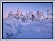 Zima, Drzewa, Dom, Laponia, Finlandia