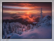 Rosja, Góry Ural, Park Narodowy Taganaj, Zima, Wschód słońca, Ośnieżone, Drzewa